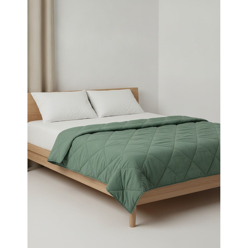 Raymond (Original) Comforter